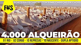 DE 400 POR R$ 350 MILHÃO - PORTEIRA FECHADA - FAZENDA NO NORTE DO TOCANTINS - 8 MIL CABEÇAS DE GADO