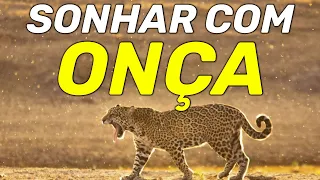 SONHAR COM ONÇA: Qual o significado de sonhar com onça? Entenda!