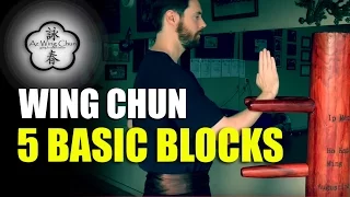 Wing Chun Five Basic Blocks