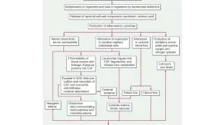 CNS Infections