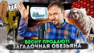 Бесплатный зоопарк | Угнали грузовик тюльпанов | Всё в электросамокатах