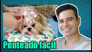 PENTEADO  FÁCIL