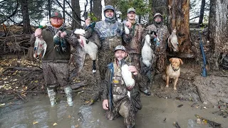 Hunting Unexpected Banded Wood Ducks on a Big Water Farm Pond!!