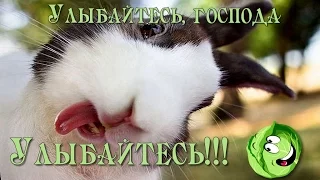 День смеха | 1 Апреля. Улыбайтесь:)))