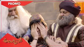 Aladdin - Promo | 20 Oct 2020 | Udaya TV Serial | Kannada Serial