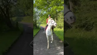 Horse spooked by pigeon!