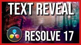 Quick Reveal Text Effect in DaVinci Resolve 17 ~ Fusion Tutorial