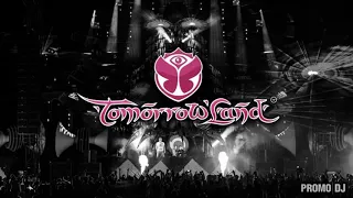 David Guetta live Tomorrowland 2019