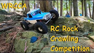 RC Rock Crawler Competition Class 2 & 3 // MNRCRC - Dlux Fab - WRCCA