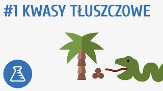 Kwasy tłuszczowe #1 [ Biologiczne związki organiczne ]