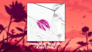 Пошлая Молли - Контракт [SLOWED X REVERB]