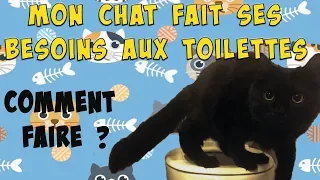 Comment j'ai appris à mon chat à utiliser les toilettes : Litter Kwitter !