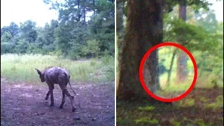 5 Mysterious Photos That Cannot Be Explained #2