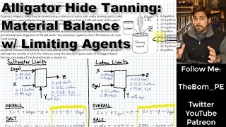 Alligator Hide Tanning | Material Balance with Limiting Agents