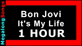 Bon Jovi - It's My Life [1 HOUR]