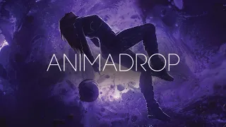 Animadrop - Now I Dream Of You