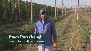 HOPS TV - Episode 8 - Farm Tour Part 2: The Combine