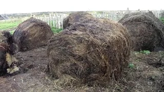 Запас зерна. Привезли сено. Сколько его у нас и кокова его стоимость?