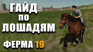 GUIDE for Horses Farming Simulator 19 | How to Keep Horses in a Farm 19