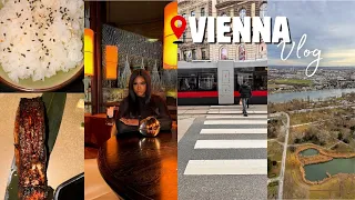 My First Solo Trip to Vienna|2 days in Austria VLOG