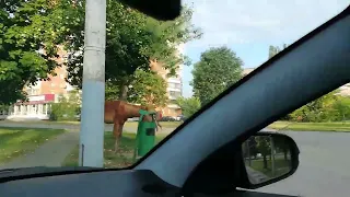 Замена масла на Лада Веста 1.8 бензин. Какое выбрать масло для уменьшения расхода.