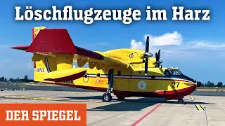 Löschflugzeuge im Harz: Die Wasserbomber | DER SPIEGEL