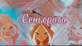 Винкс Анаган и Флора клип Сеньорита