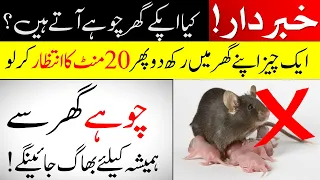 How to get Rid out of the house completely || Home Remedies || Get Rid Of Mouse