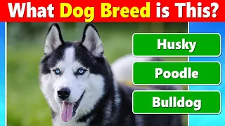 Guess the Dog Breed Quiz 🐶