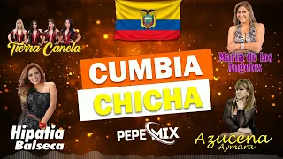 MIX DE CUMBIA - CHICHA ECUATORIANA BAILABLE 2024