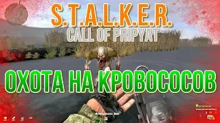 S.T.A.L.K.E.R. Call of Pripyat Охота на кровососов