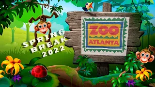 Visit to Zoo Atlanta March 8 2022 Atlanta Georgia Zoo