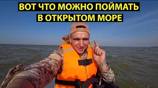 Ловим в АЗОВСКОМ МОРЕ. Я такую рыбу с берега не ловил.