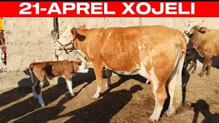 21-АПРЕЛЬ ХОЖЕЛИ МАЛ БАЗАР/СКОТНЫЙ РЫНОК/BUQALAR/BIGGEST BULLS IN THE WORLD/BIGG BULLS