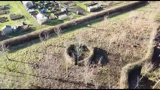 2022 01 Jubilee Wood Dead Hedge