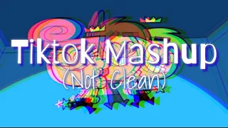 Tiktok Mashup (Not Clean) Part4