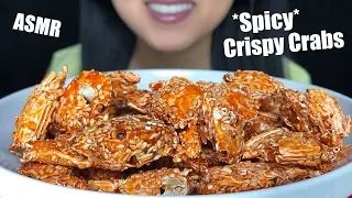 ** ASMR SPICY CRISPY BABY CRABS ** (Extreme Crunchy Eating Sounds) | No Talking ASMR Phan