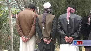 Drug Traffickers Arrest in Khost Afghanistan - VOA Ashna
