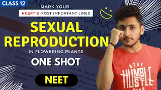 Sexual Reproduction In Flowering Plants Class 12 | One Shot | NEET | Mark Your NCERT !