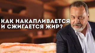 КАК СЖЕЧЬ ЖИР / АЛЕКСЕЙ КОВАЛЬКОВ О ТОМ КАК НАКАПЛИВАЕТСЯ И СЖИГАЕТСЯ ЖИР В ОРГАНИЗМЕ