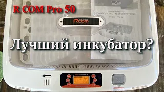 Incubator R COM Pro 50. The best incubator?