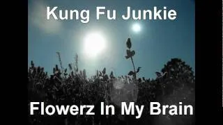 Kung Fu Junkie - Flowerz in My Brain [Live Performance on Radio Show ELECTRONICA]