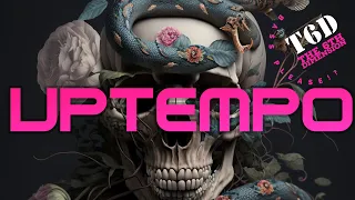 Uptempo/Hardcore Mix March '24 - Mixed by T6D