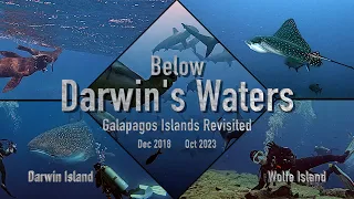 Darwin's Waters the Galapagos Islands Wolfe and Darwin Revisited