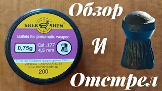 Пули Шершень 0.75 г, обзор и отстрел на 25 метров!