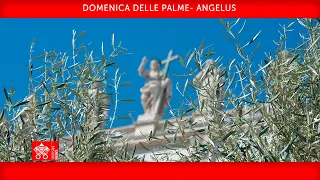10 aprile 2022, Celebrazione della Domenica delle Palme, Recita dell’Angelus | Papa Francesco