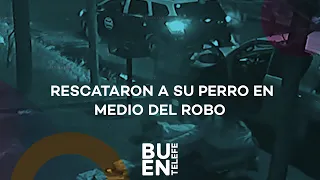 Una PAREJA LOGRÓ SALVAR a su PERRO en MEDIO del ROBO #BuenTelefe