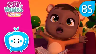 🐻 NOI PRIETENI! 🐻 CRY BABIES 💧 MAGIC TEARS 💕 Episoade Integrale 😍 DESENE pentru COPII în ROMÂNĂ