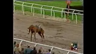 Scary Incident at Southwell Racecourse