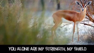 As The Deer PSALM 42:1 MV